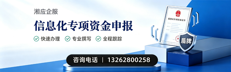 福州信息化专项资金申报服务