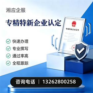 福州专精特新企业申报服务