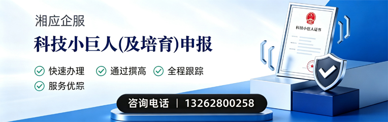 福州科技小巨人及培育企业申报服务