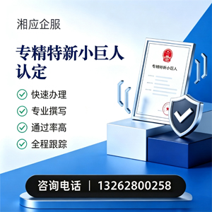 福州专精特新小巨人申报服务