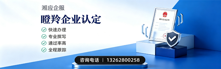 福州瞪羚企业认定申报服务