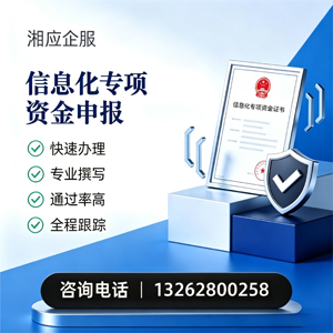福州信息化专项资金申报服务