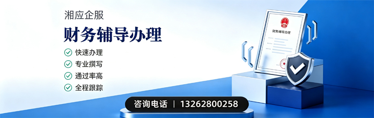 福州财务辅导申请服务