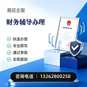 福州财务辅导申请服务