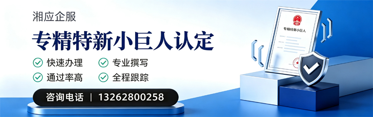 福州专精特新小巨人申报服务